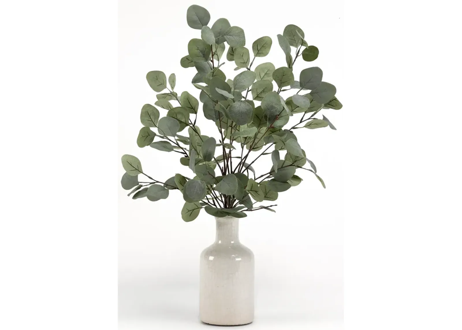 Grey/Green Eucalyptus in Ceramic Bottle