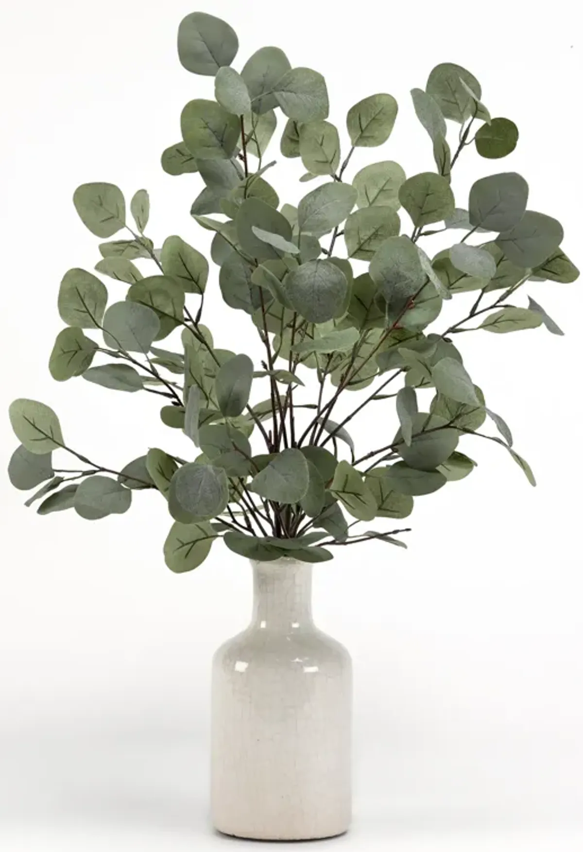 Grey/Green Eucalyptus in Ceramic Bottle