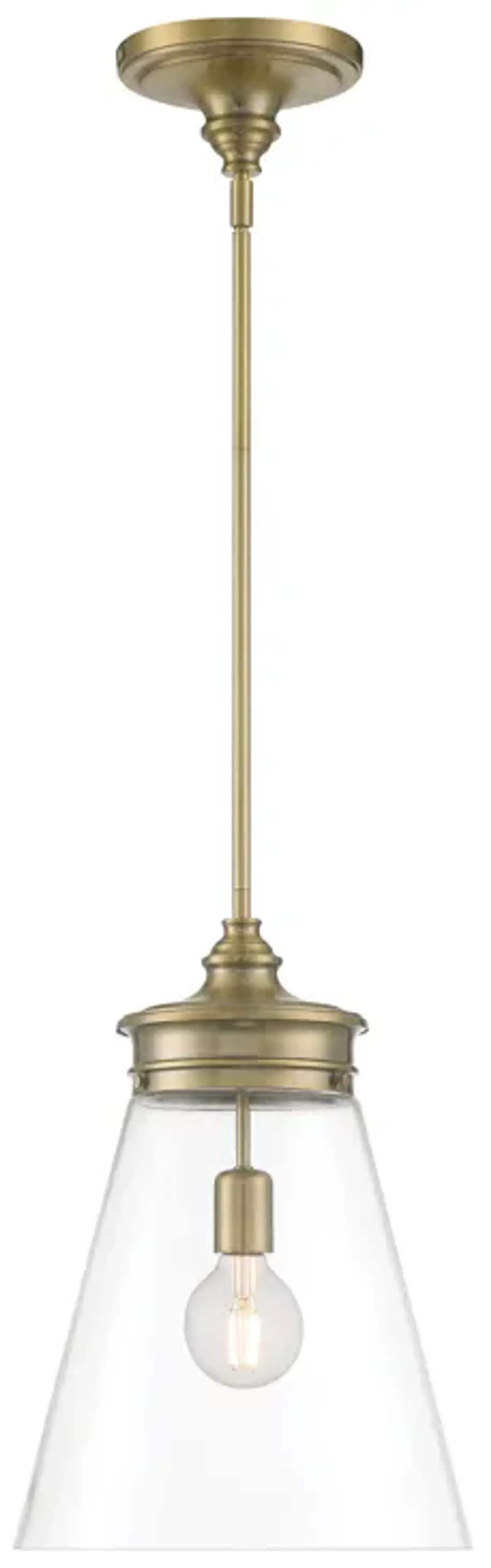 Emma 1-Light Glass Pendant - Polished Nickel