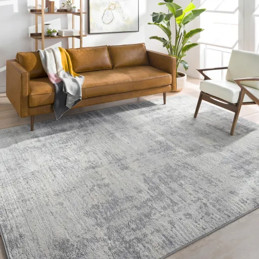 Monaco 4'3" x 5'11" Rug