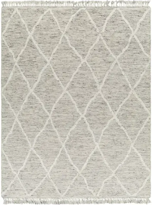 Tenerife TNF-2302 8' x 10' Hand Made Rug