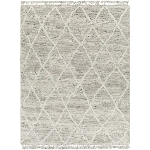 Tenerife TNF-2302 8' x 10' Hand Made Rug