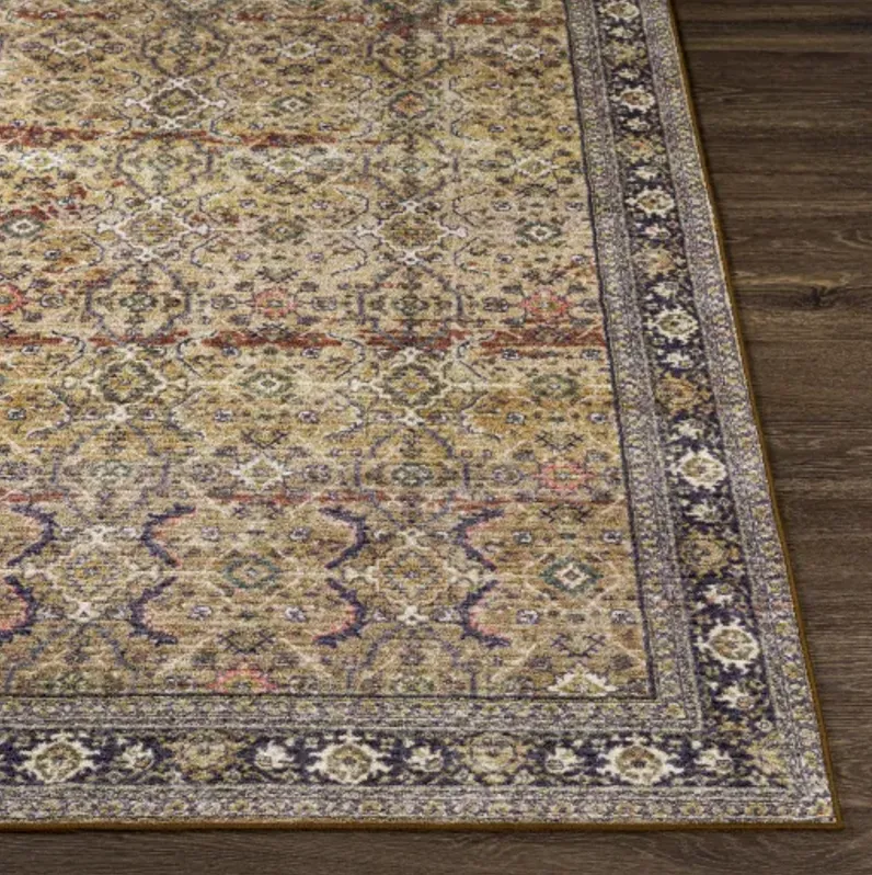 Leicester LEC-2305 2'7" x 7'3" Rug