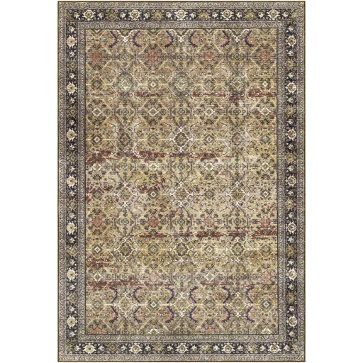 Leicester LEC-2305 2'7" x 7'3" Rug