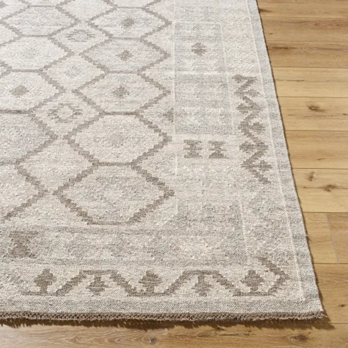 Tempe TPE-2302 5' x 7'6" Handmade Rug