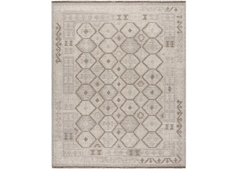 Tempe TPE-2302 5' x 7'6" Handmade Rug