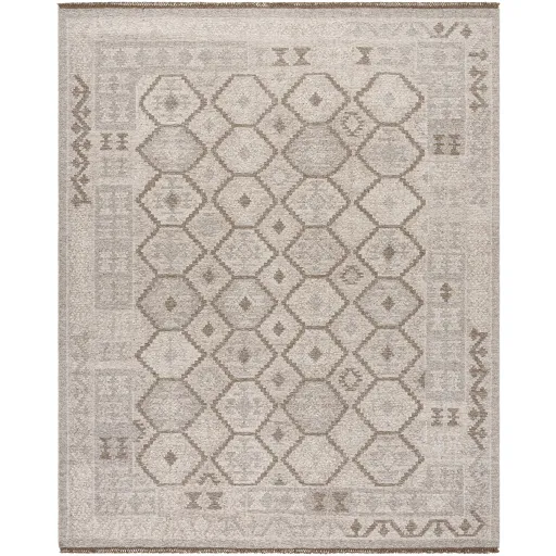 Tempe TPE-2302 5' x 7'6" Handmade Rug