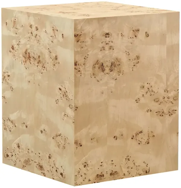 Cosmos 16" Square Burl Wood Side Table