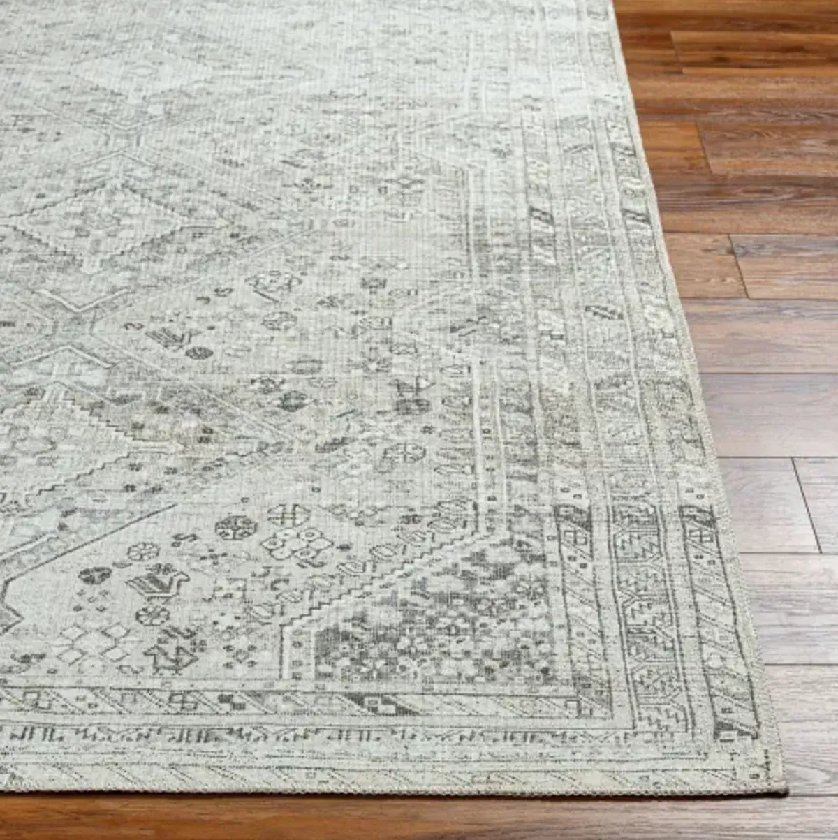 Amelie AML-2379 5'3" x 7'3" Machine Woven Rug