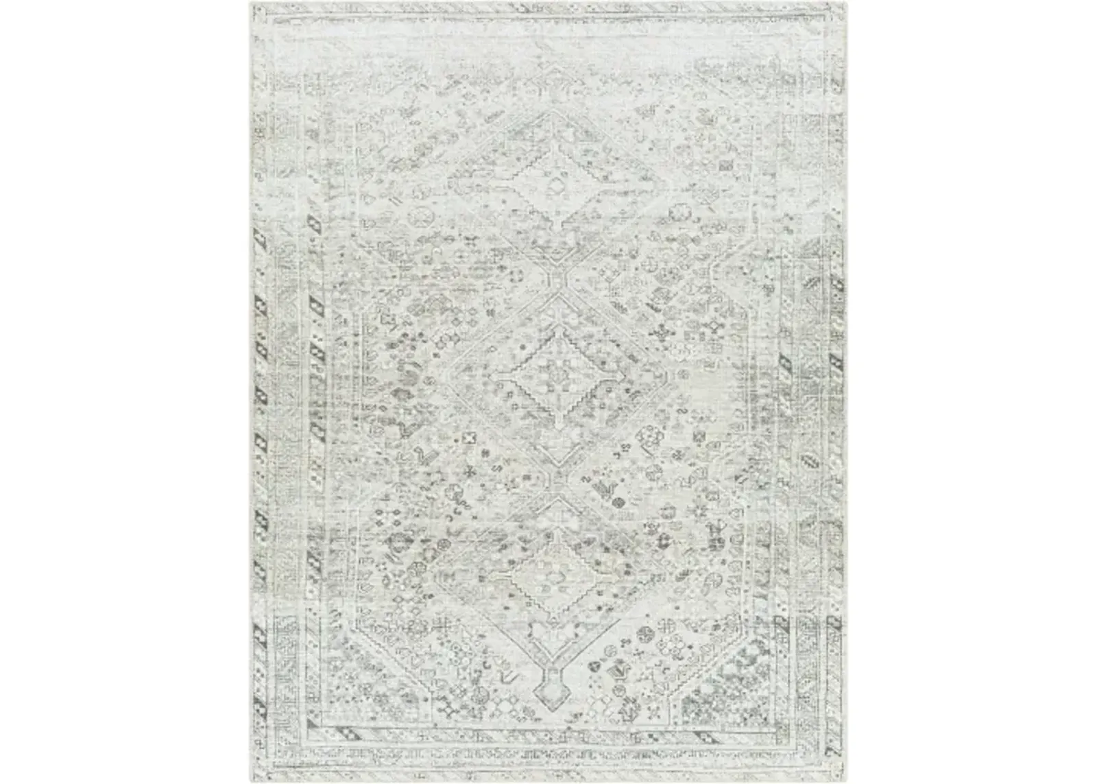 Amelie AML-2379 5'3" x 7'3" Machine Woven Rug