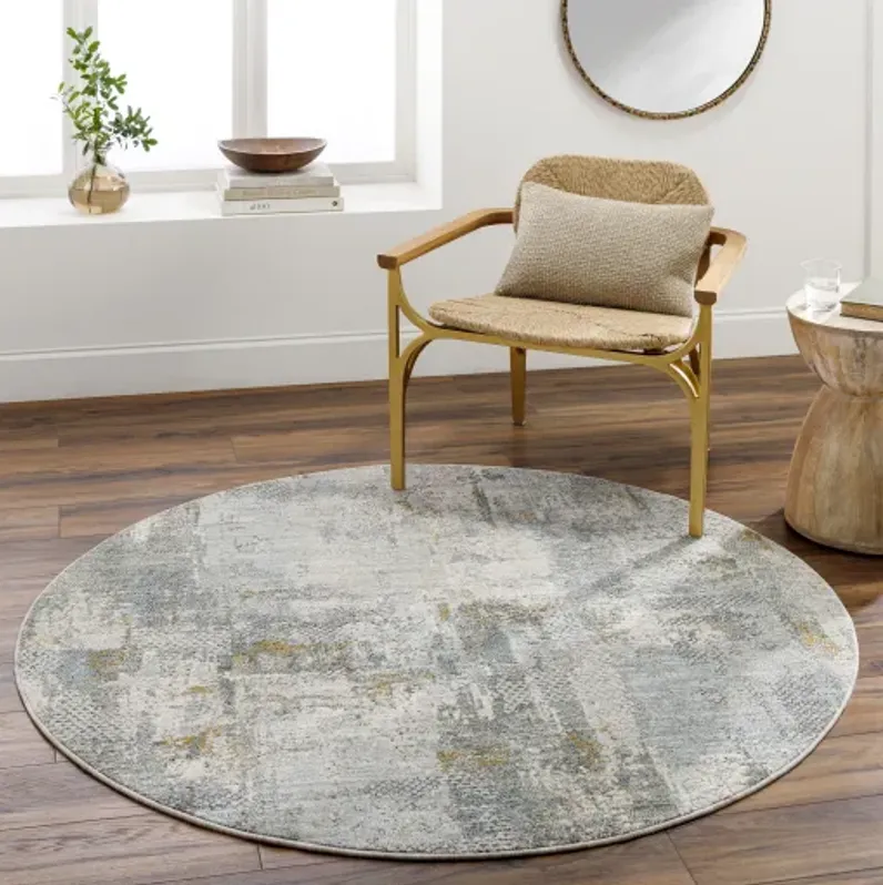 Dresden DRE-2305 5'3" x 5'3" Machine Woven Rug