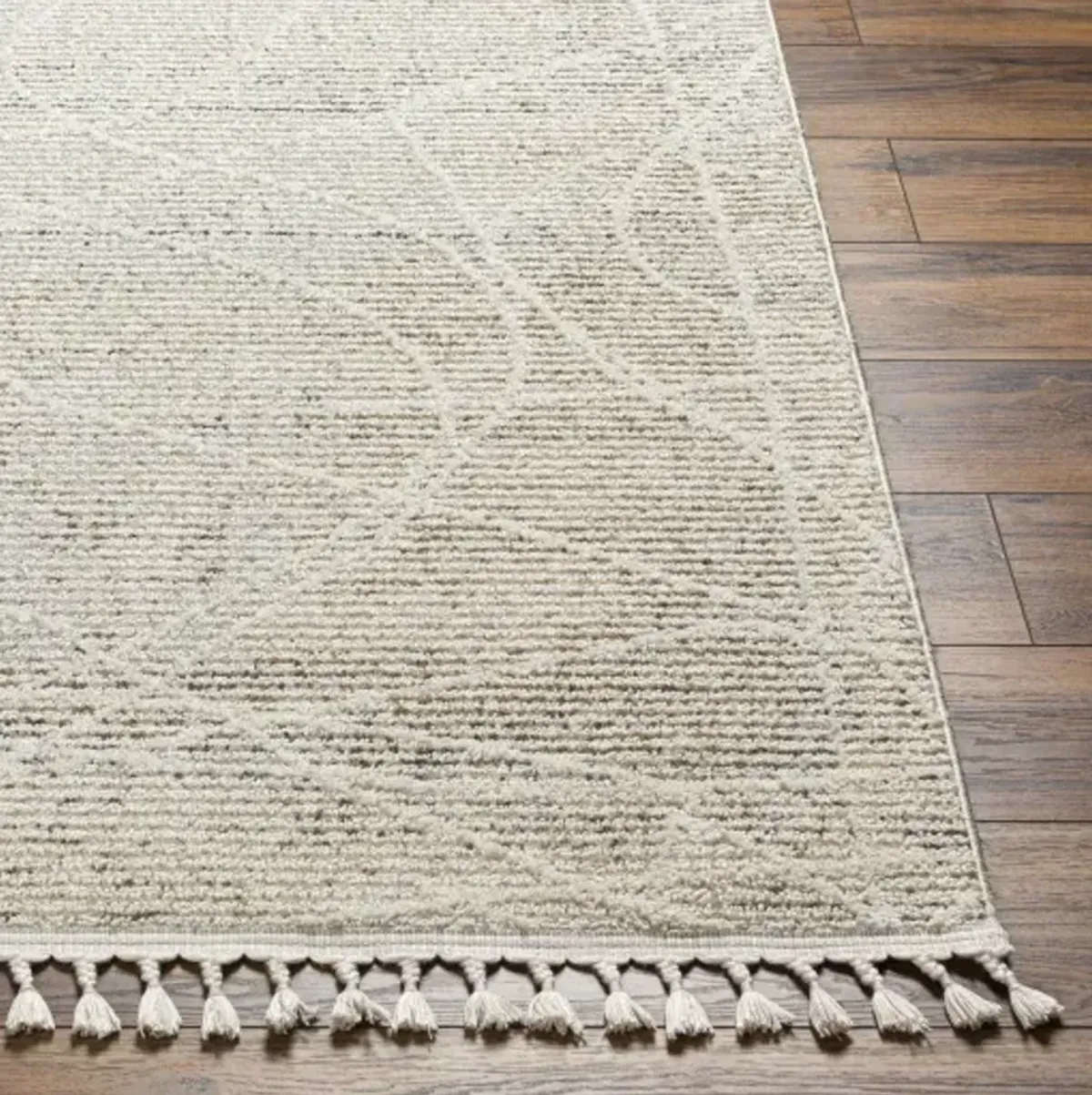 Rudy RDY-2303 5'3" x 7' Machine Woven Rug