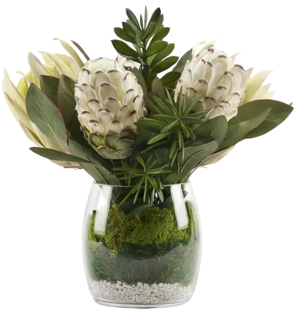 White Proteas with Jade Plants in Glass Vase