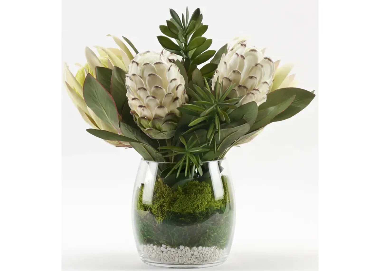 White Proteas with Jade Plants in Glass Vase