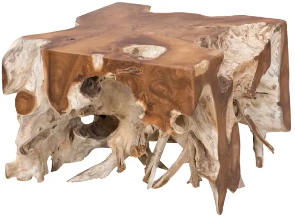 Root Coffee Table