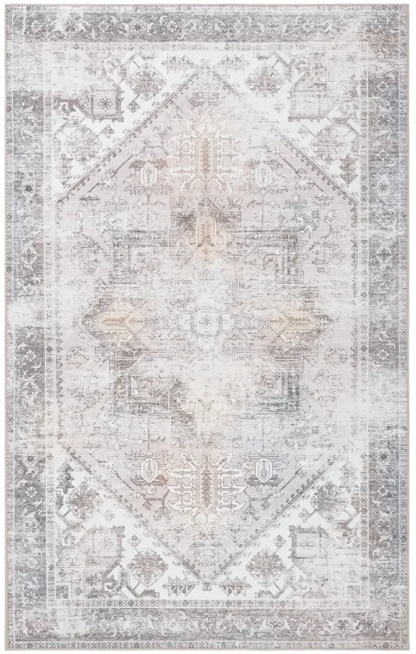 TUCSON 102 M/W S/R BEIGE  2'-6' x 4' Accent Rug