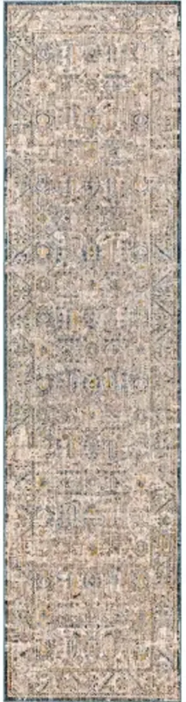 Aspendos APS-2313 2'7" x 10' Rug