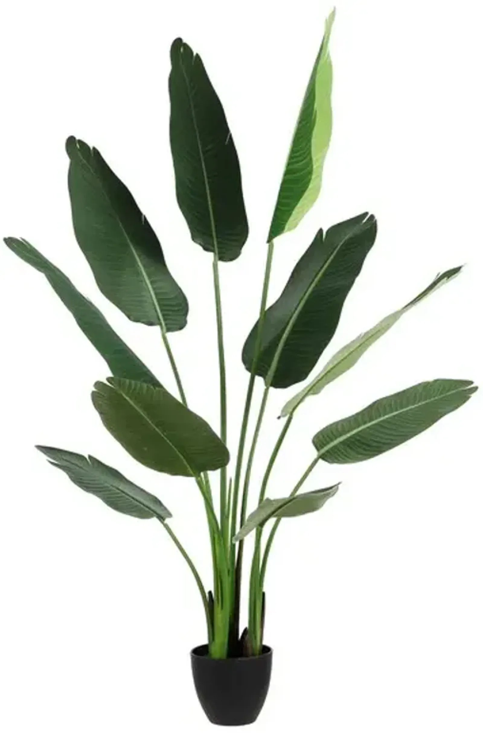 Faux Potted Banana Leaves