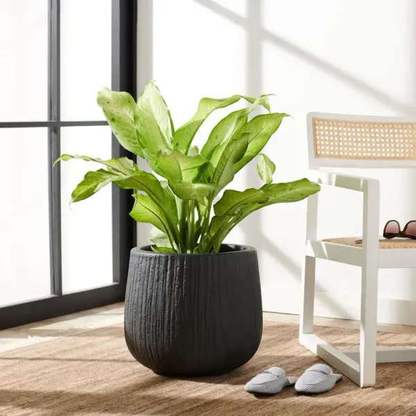 【showgomustgoon】Ramat Planter #263 Novogratz Fredericksburg Planter by Raymour & Flanigan