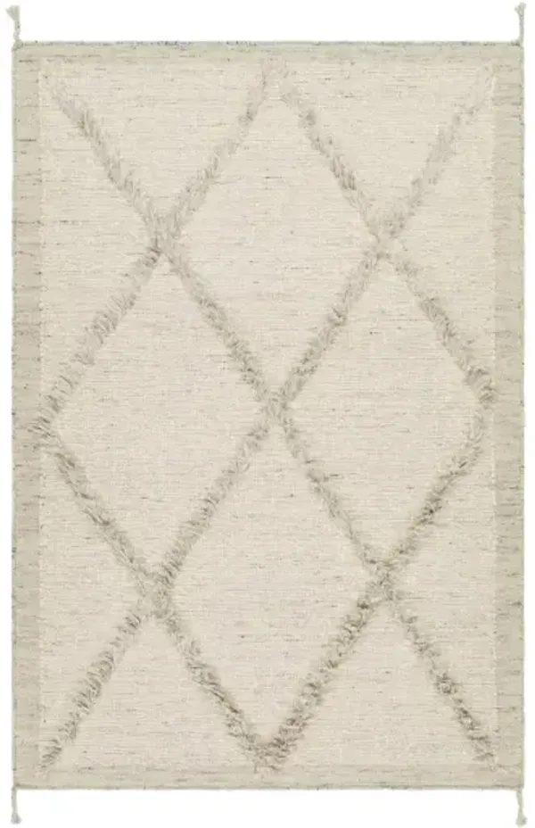 Tripoli TRP-2302 8' x 10' Handmade Rug