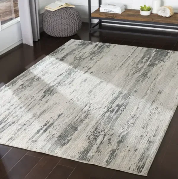 Aisha 2' x 3' Rug