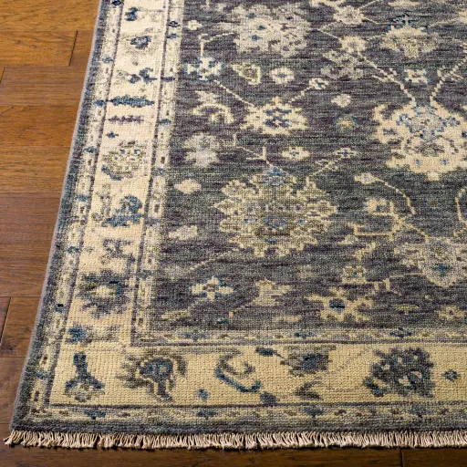 Biscayne 2' x 3' Rug