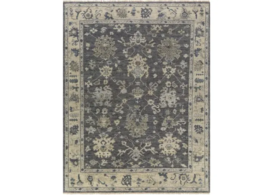 Biscayne 2' x 3' Rug