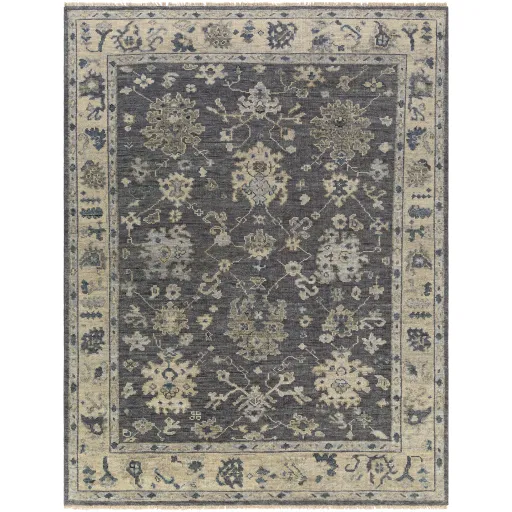 Biscayne 2' x 3' Rug