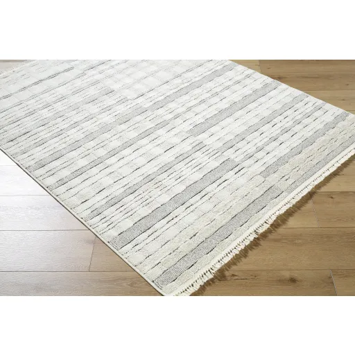 Berlin BLR-2314 2'7" x 7'3" Machine Woven Rug