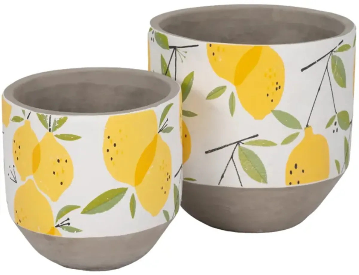 S/2 6/7" Growing Lemons Planter, Multi