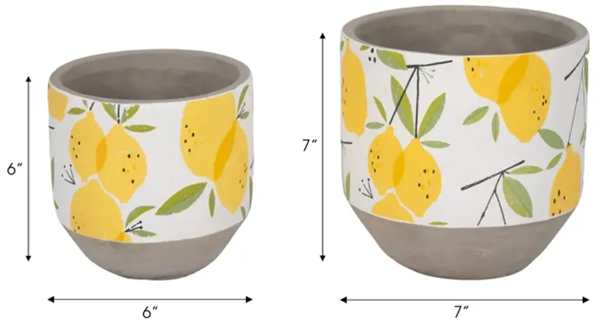 S/2 6/7" Growing Lemons Planter, Multi