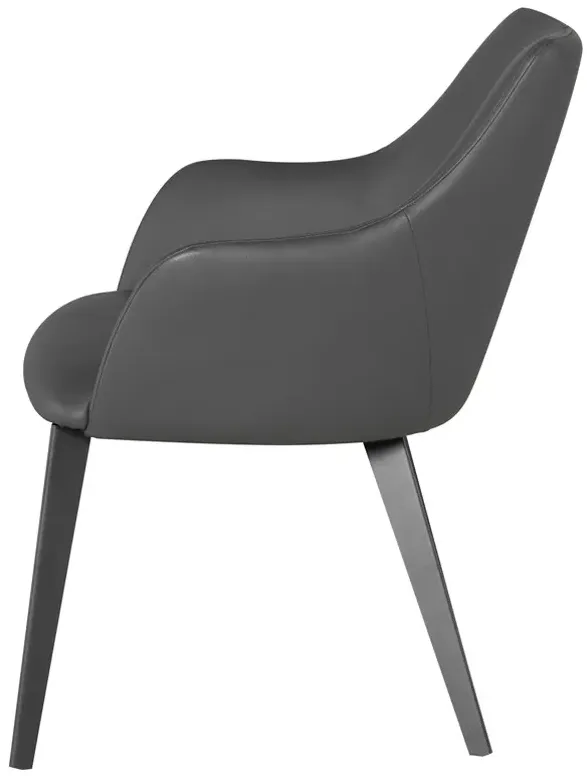 RENEE DINING CHAIR