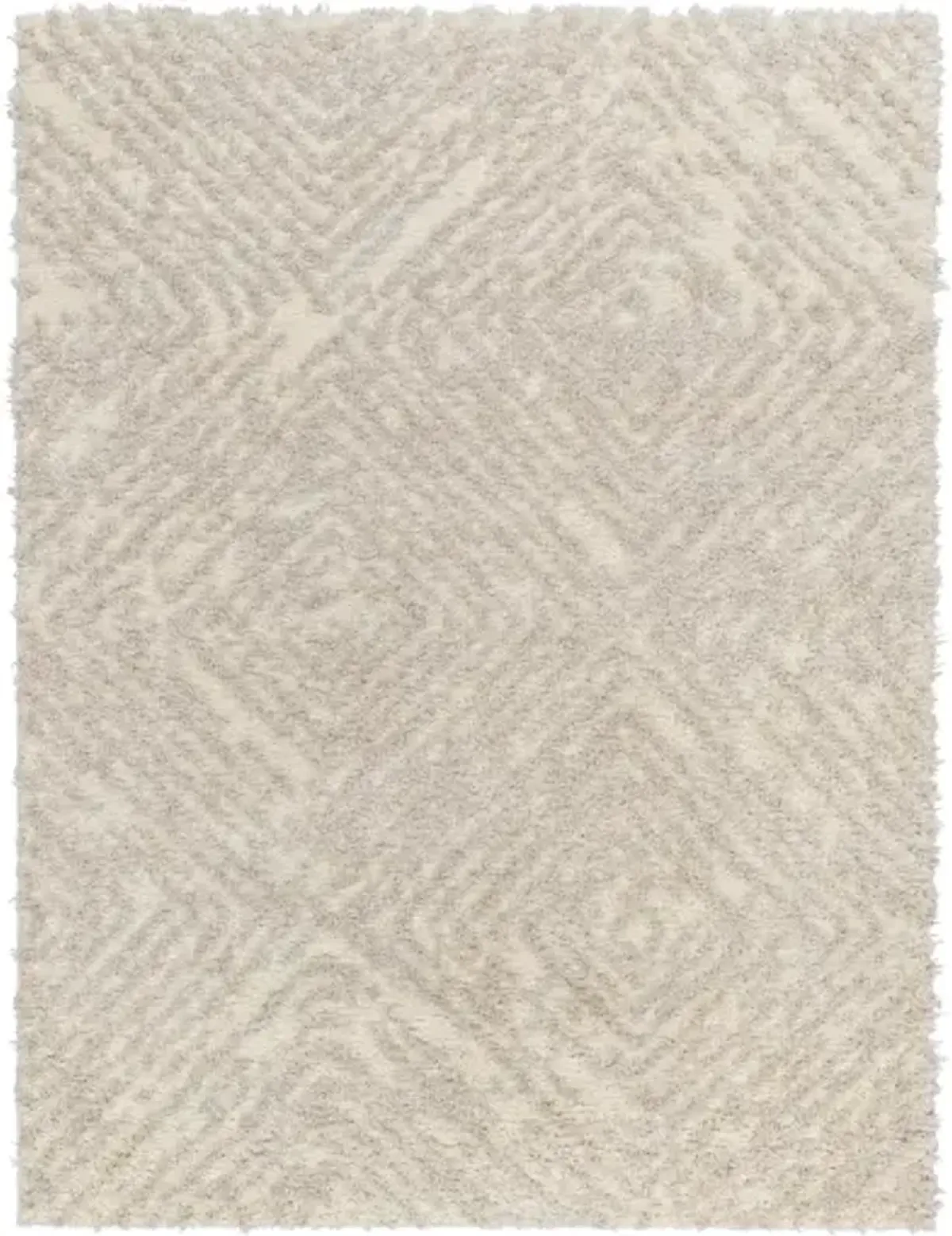 Everton Plus EVP-2313 5'3" x 7' Machine Woven Rug