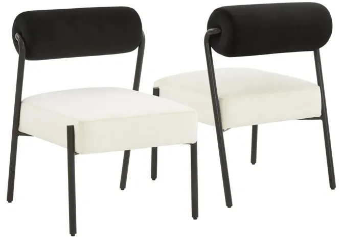 Jolene Black and Cream Velvet Dining Chair - Set of 2