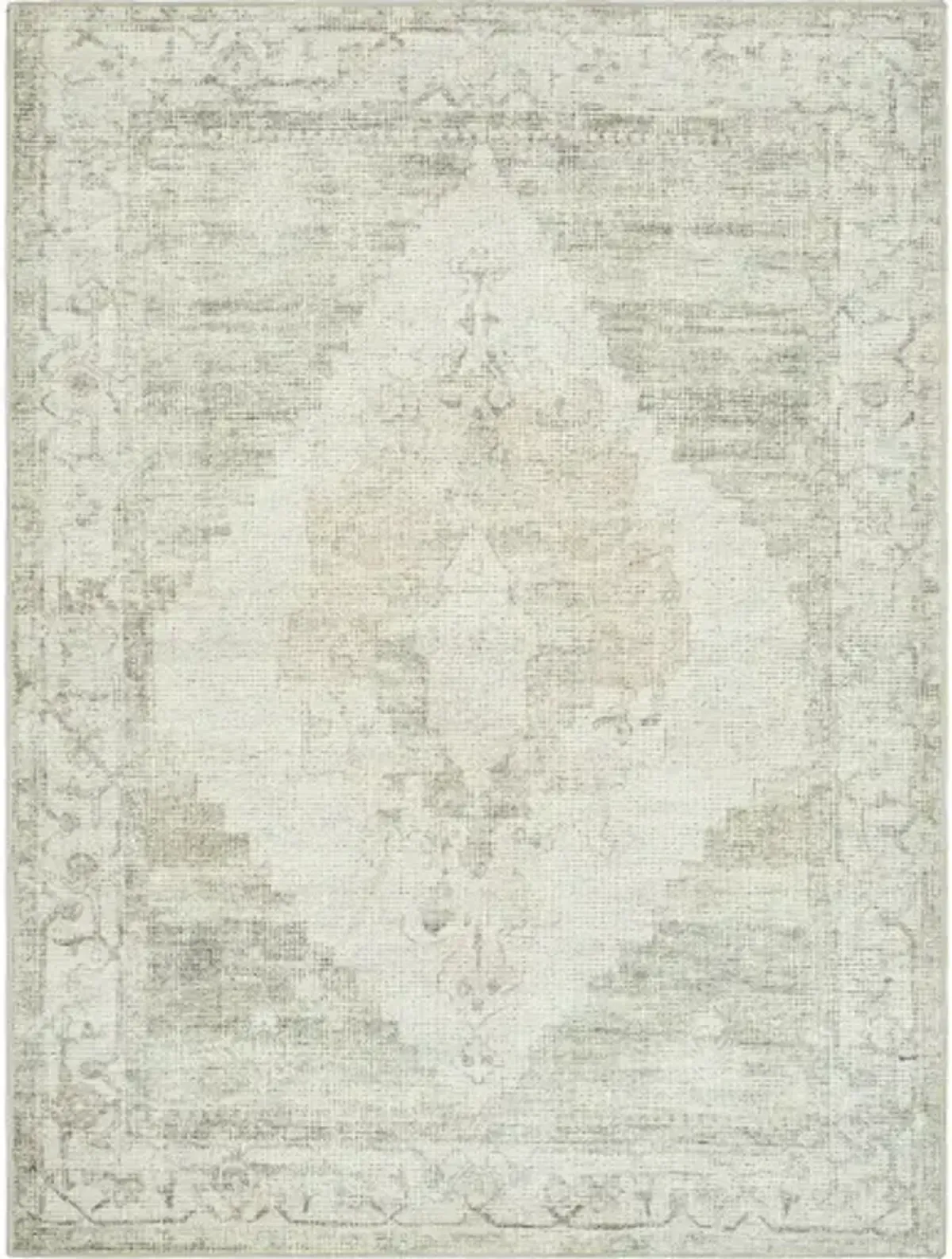 Becki Owens Luca Area Rug