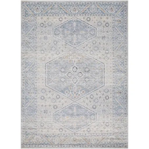 Alpharetta APH-2313 5'3" x 7' Machine Woven Rug