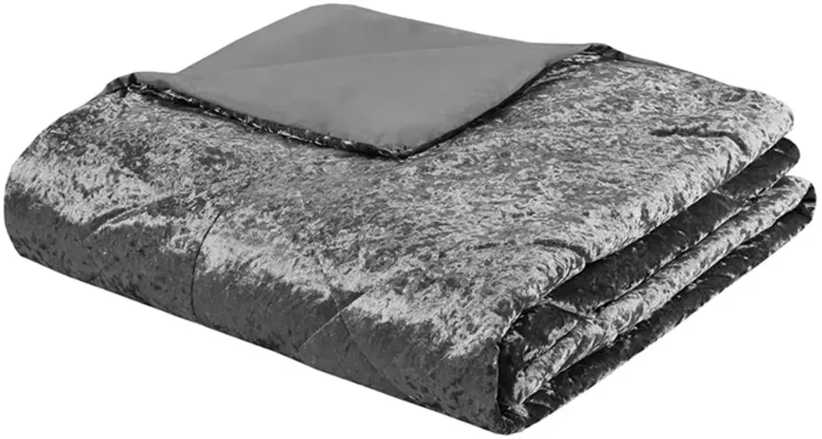 Intelligent Design Felicia Grey Velvet Duvet Cover Set