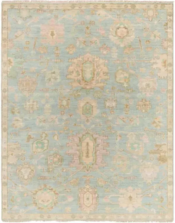 Antalya AAT-2310 6' x 9' Handmade Rug
