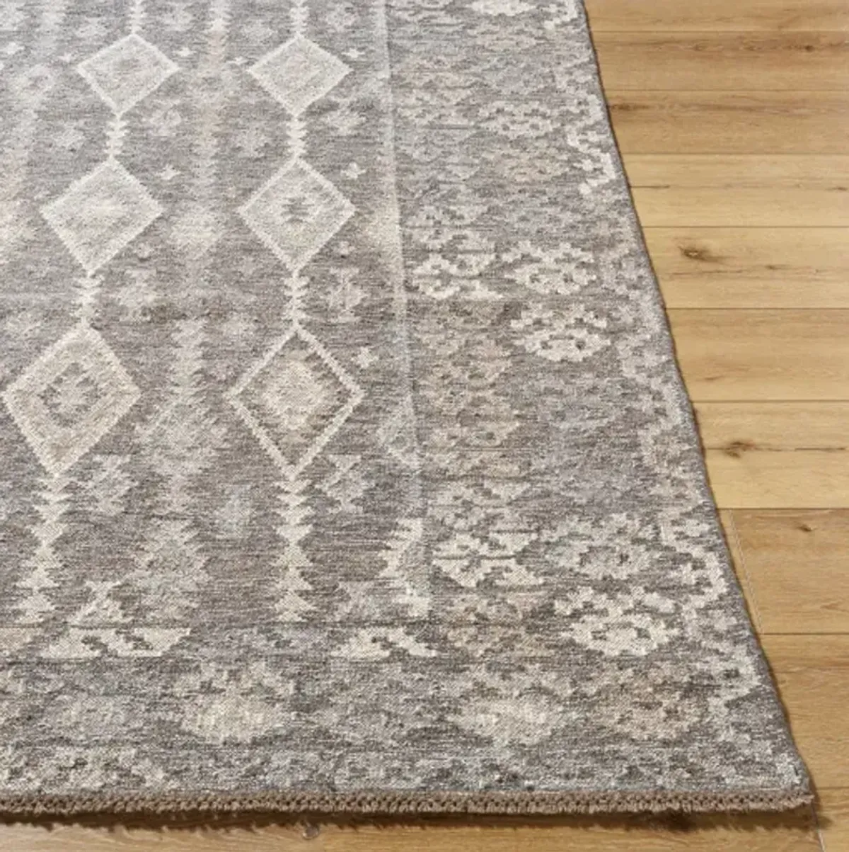 Tempe TPE-2301 5' x 7'6" Handmade Rug