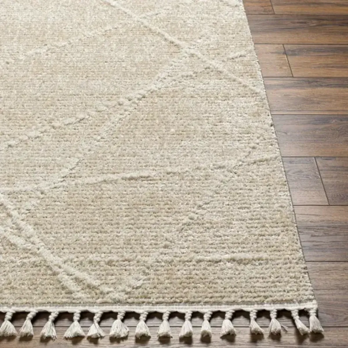 Rudy RDY-2307 5'3" x 7' Machine Woven Rug