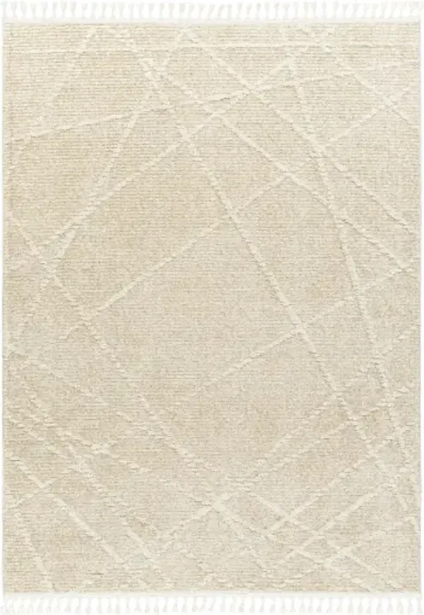 Rudy RDY-2307 5'3" x 7' Machine Woven Rug