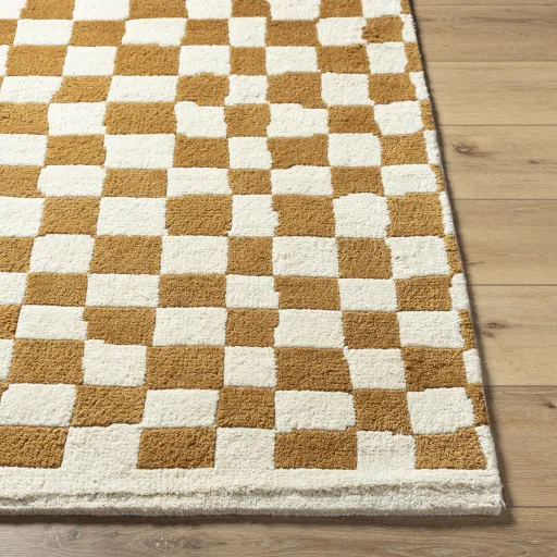 Damier DMI-2302 2' x 3' Handmade Rug