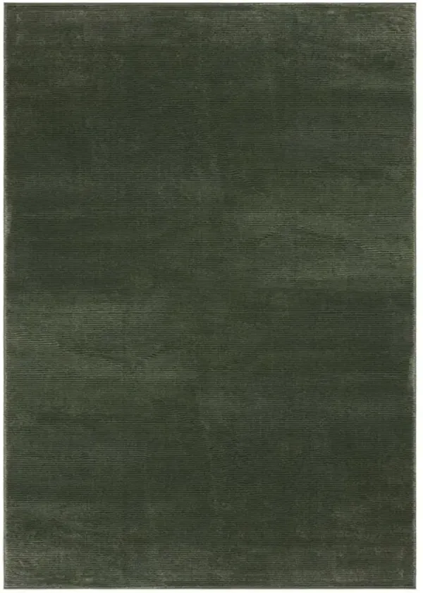 REVIVE 102 Green 2'-7' X 5' Small Rectangle Rug