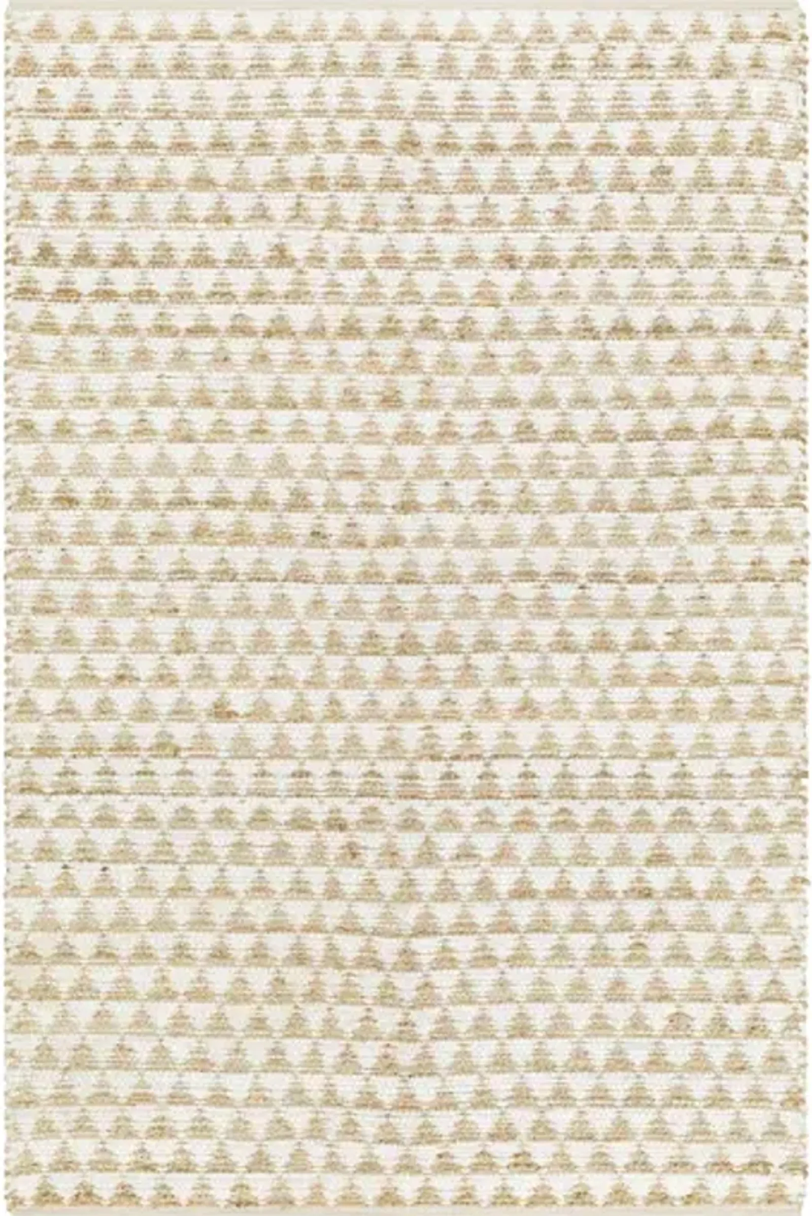 Jean JEA-2309 27" x 45" Hand Made Rug