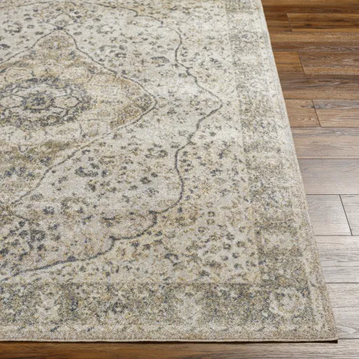 Lillian LLL-2322 2'2" x 3'9" Machine Woven Rug