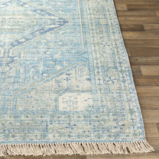 Zainab 8'10" x 12' Rug