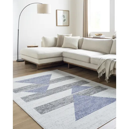 Pisa PSS-2378 5' x 7' Machine Woven Rug