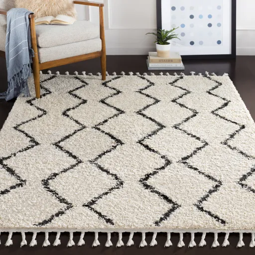 Berber Shag 9' x 12' Rug