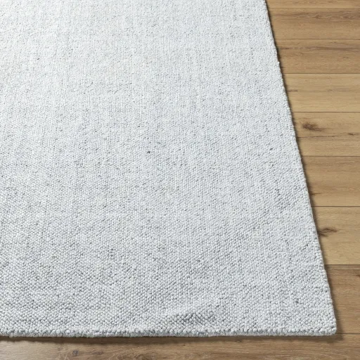 Salome SME-2301 2' x 3' Hand Made Rug