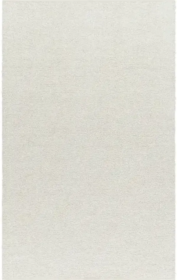 Boculette BCT-2300 9' x 12' Hand Made Rug